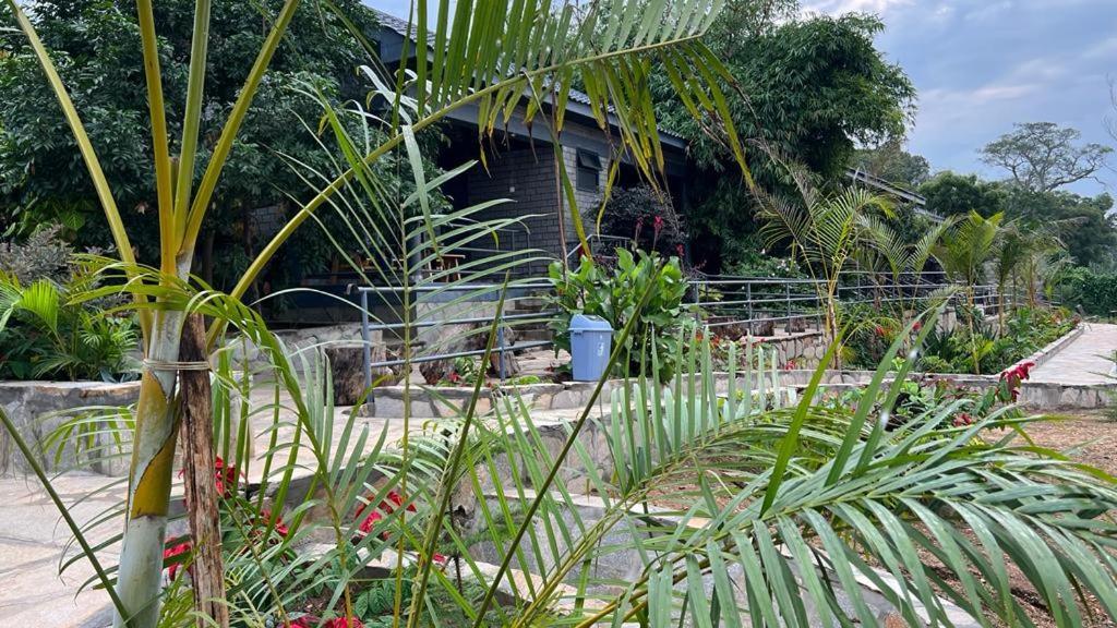 Gipir And Labongo Safari Lodge Ltd Pakwach Eksteriør bilde
